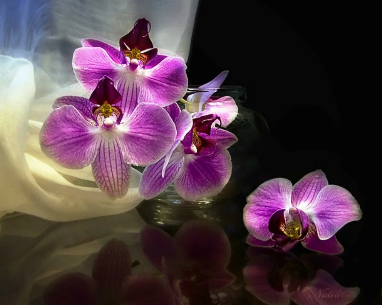Фото Стихи к подарку орхидея #29