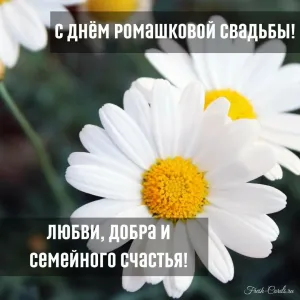 Скачивание изображения #489357