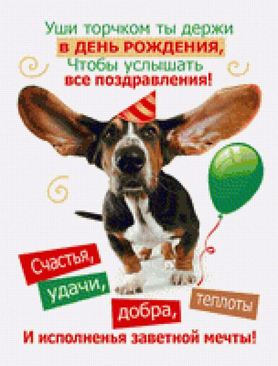 Смешное поздравление оксаны с днем рождения. С днем рождения. День рождения собаки. С днем рождения прикольные. Поздравления с днём рождения собаке.