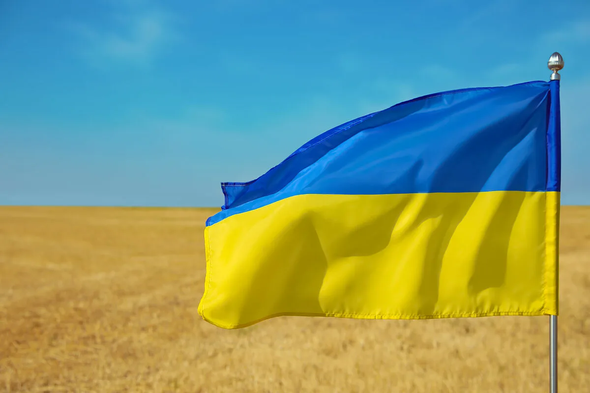 Фото День флага Украины #27