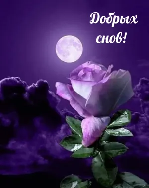 Скачивание изображения #233369