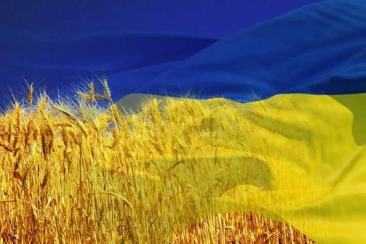Фото День флага Украины #85