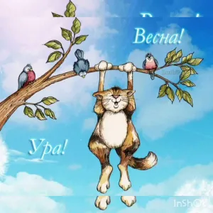 Скачивание изображения #357177