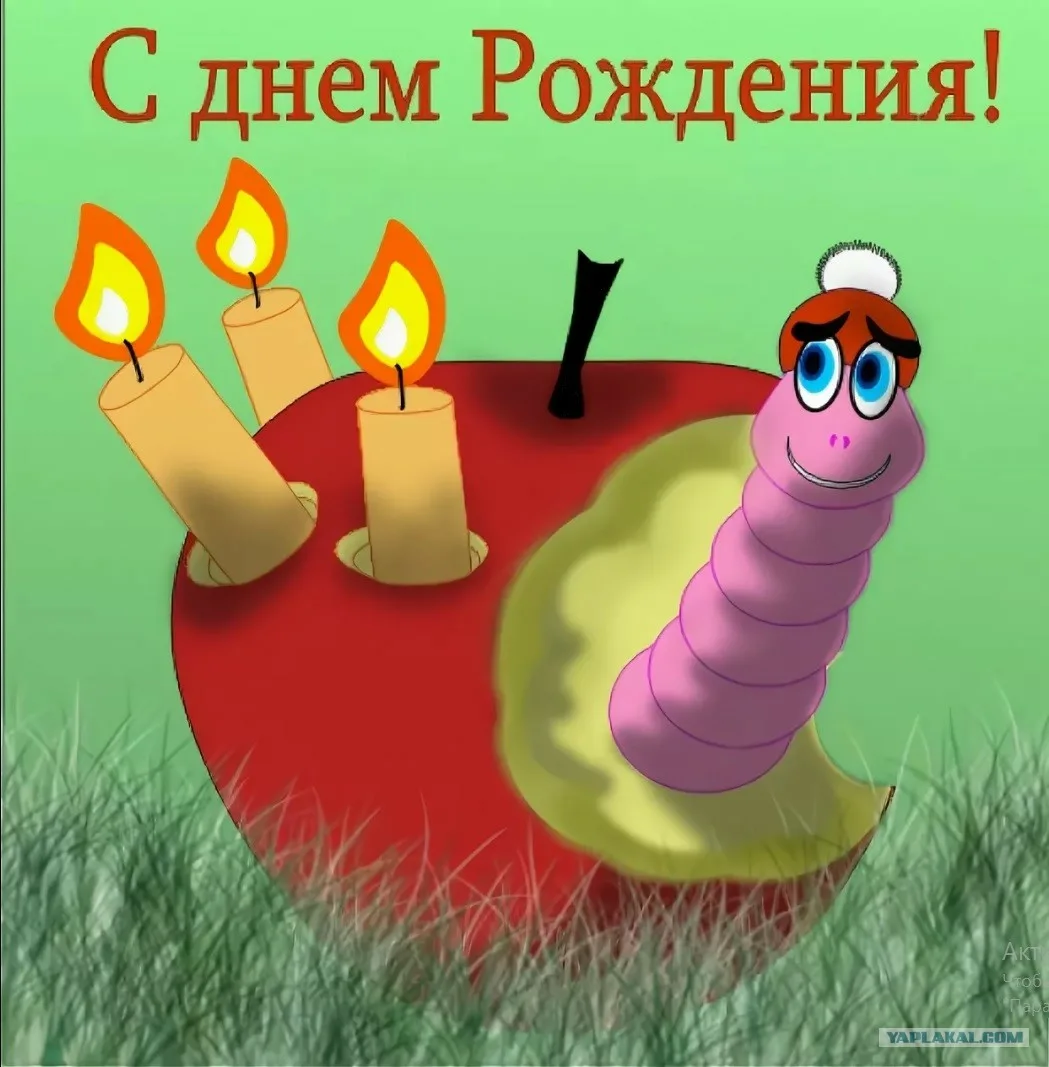 Фото День рождения Рунета 2025 #42