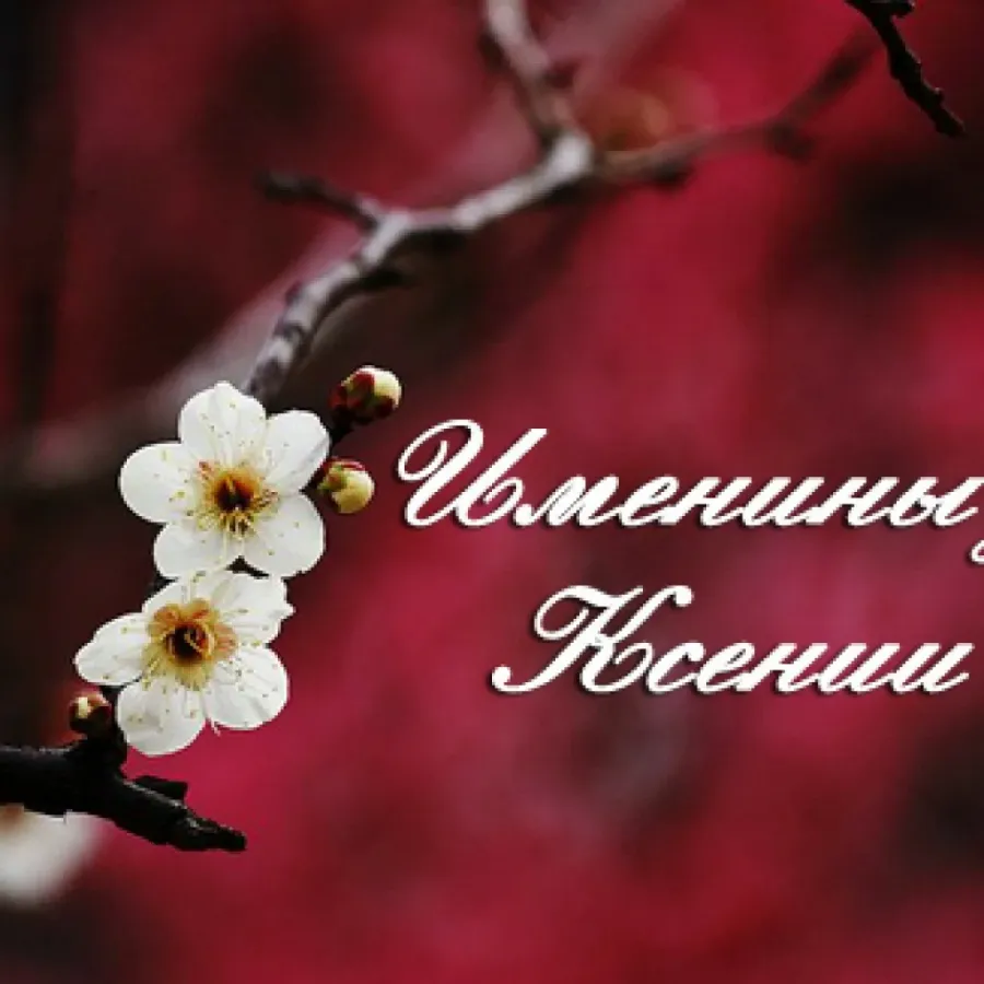 С днём ангела ксения