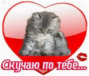 Скачивание изображения #226492