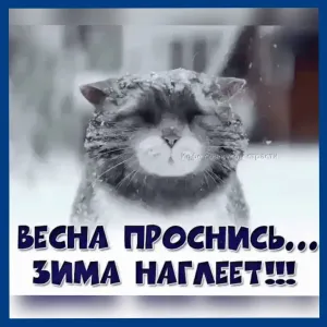 Скачивание изображения #272921