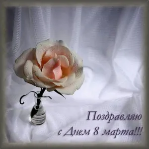 Скачивание изображения #180340