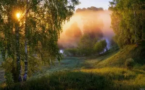 Скачивание изображения #272291