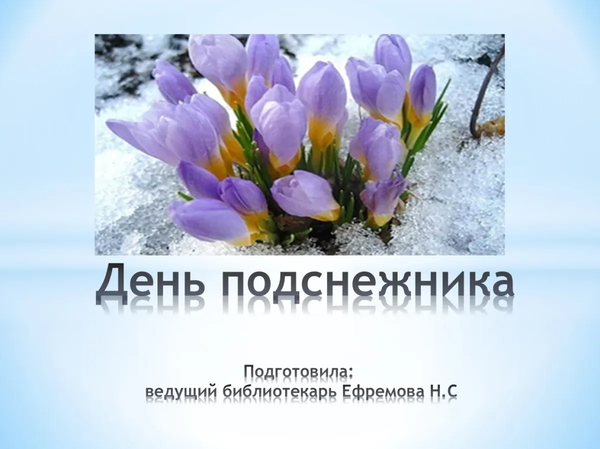 19 апреля праздник в россии. День подснежника. Международный праздник день подснежника. День подснежника 2022.