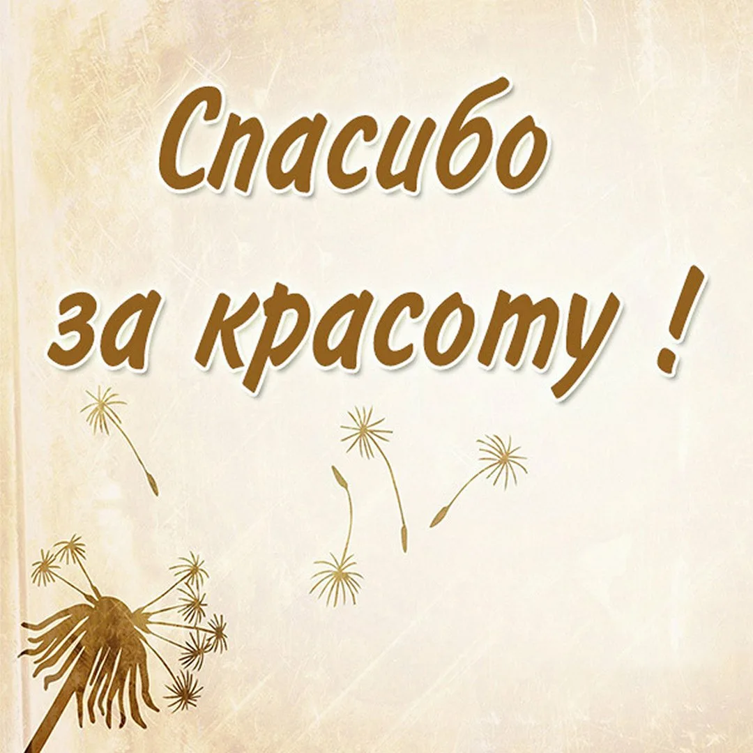 Рада спасибо любимый. Благодарность картинки. Открытки с благодарностью. Спасибо за заботу. Спасибо за красоту.