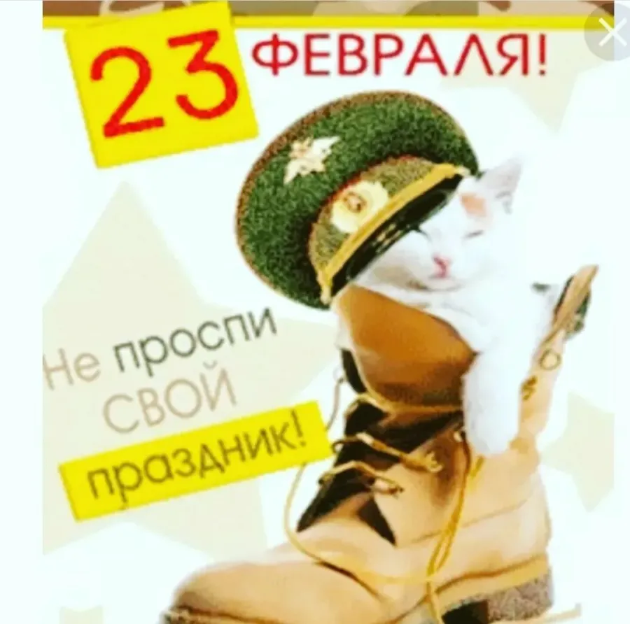 Когда 23 февраля стал выходным в россии. С 23 февраля. Поздравление с 23 февраля. С 23 февраля Веселые. Открытка 23 февраля.