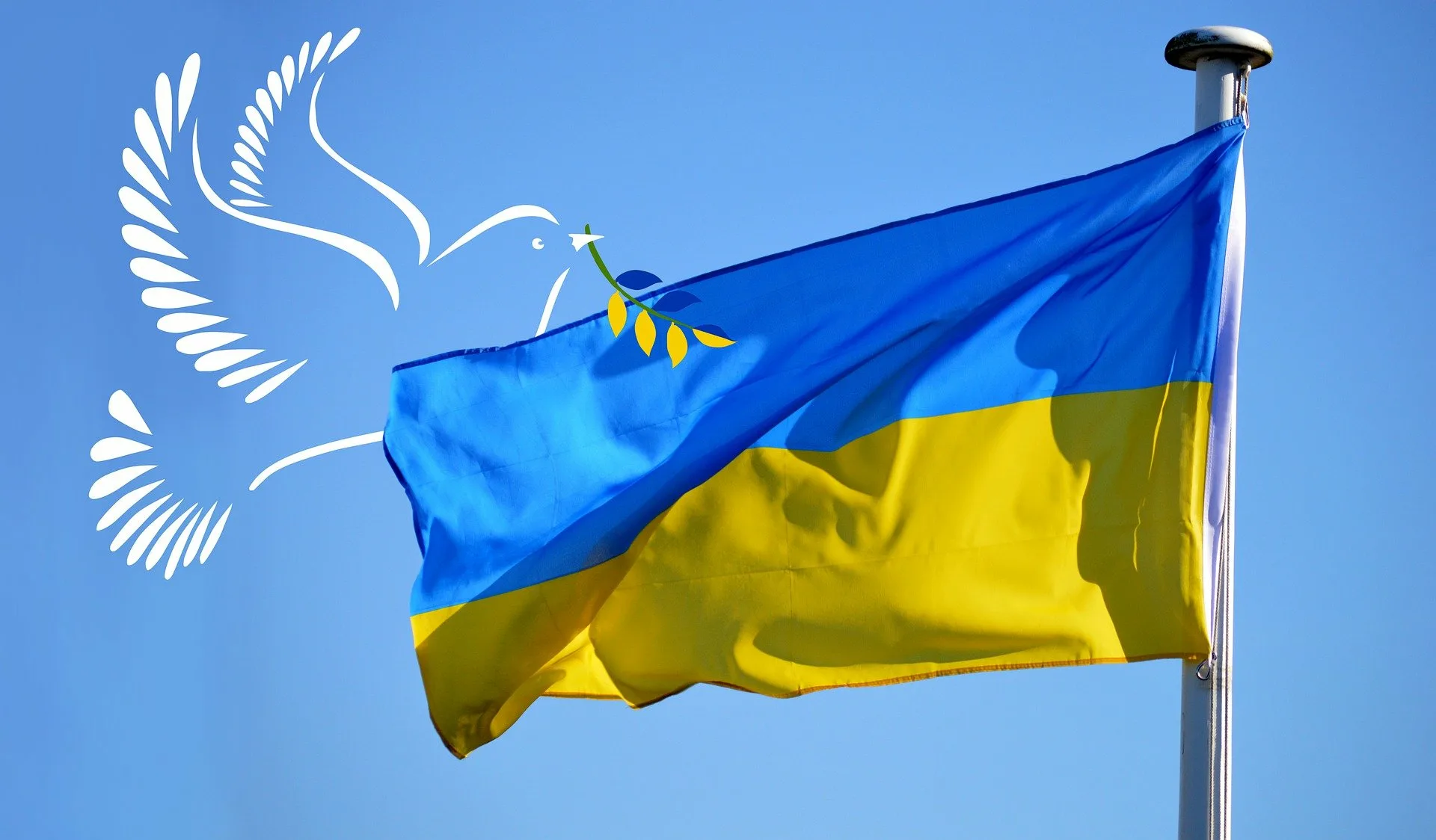 Фото День флага Украины #13