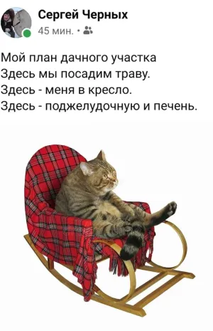 Скачивание изображения #103360