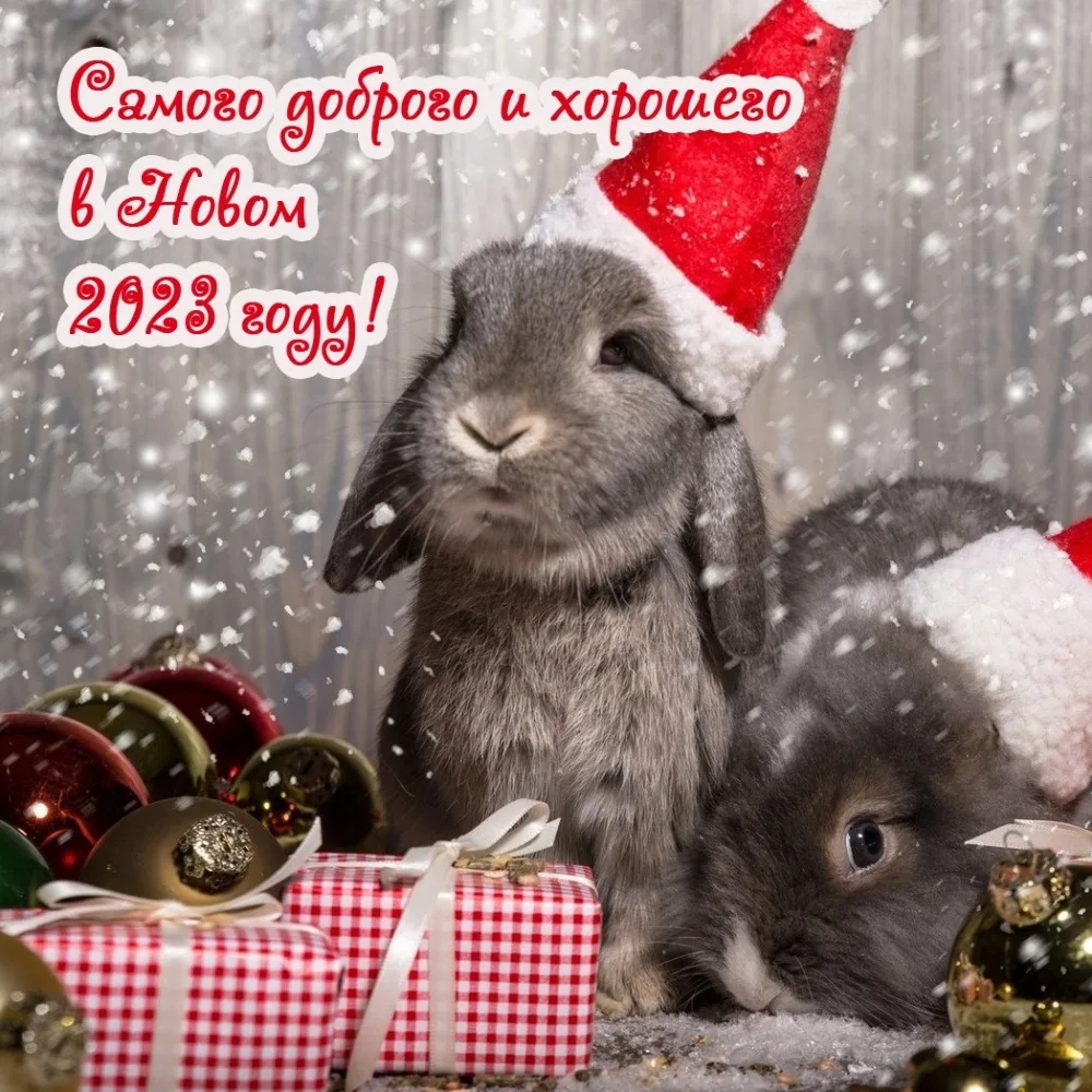 Фото Прикольные поздравления с Новым годом любовнику 2025 #50