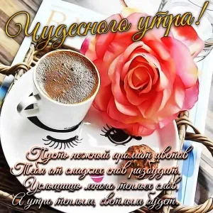 Скачивание изображения #31218