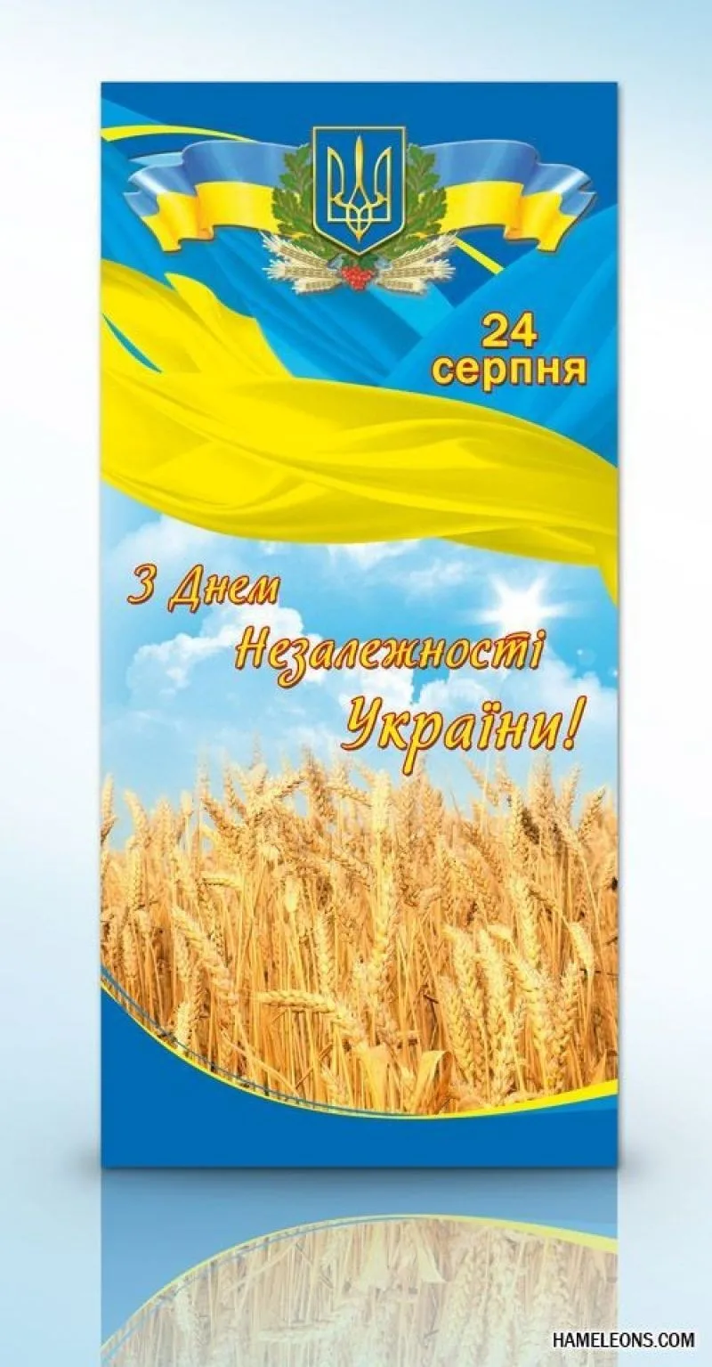 Фото День Конституции Украины #51
