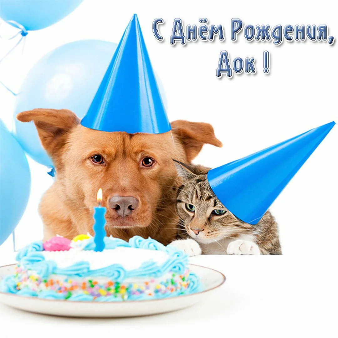 Фото Поздравления ветеринару с днем рождения #12