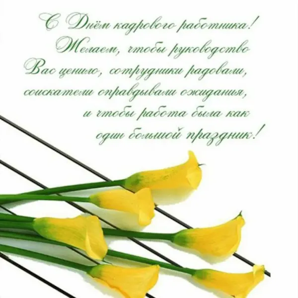 Поздравление с днем рождения кадровику женщине