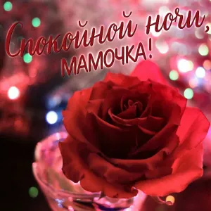 Добрый вечер картинки красивые женщине любимой