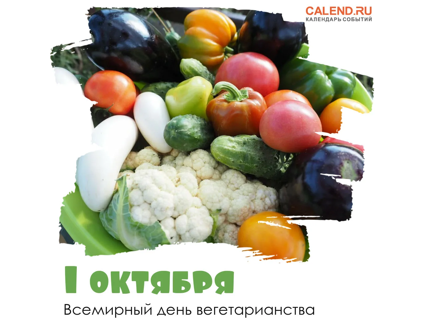 Фото Всемирный день продовольствия #7