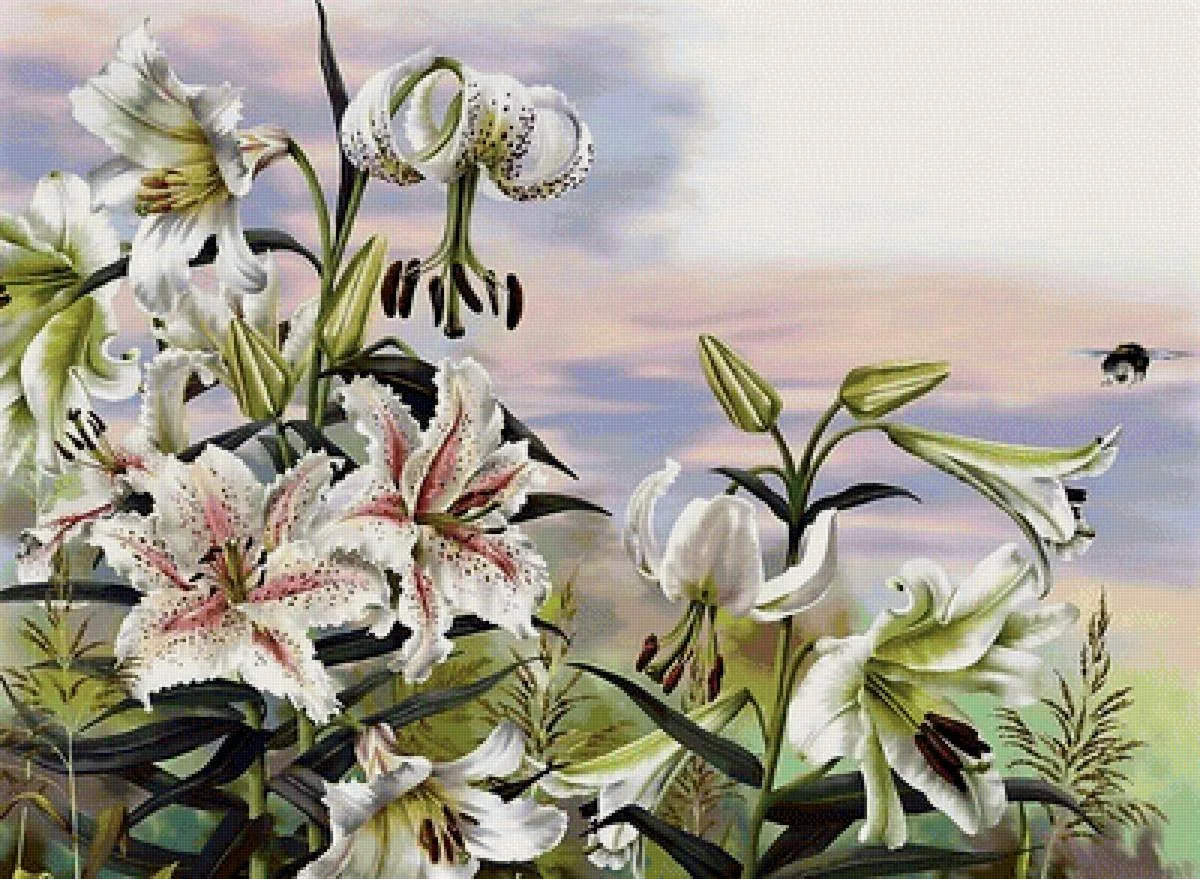 Будни лилии. Лилия Фловер Пинк. Белые лилии в живописи. Лилии цветы живопись.