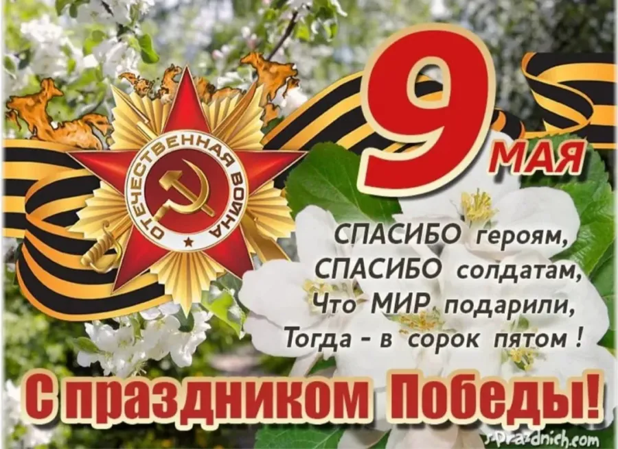 Картинки на 9 мая поздравления