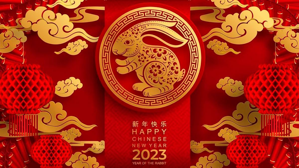 Фото Китайский Новый год 2025 #20
