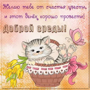 Скачивание изображения #32494