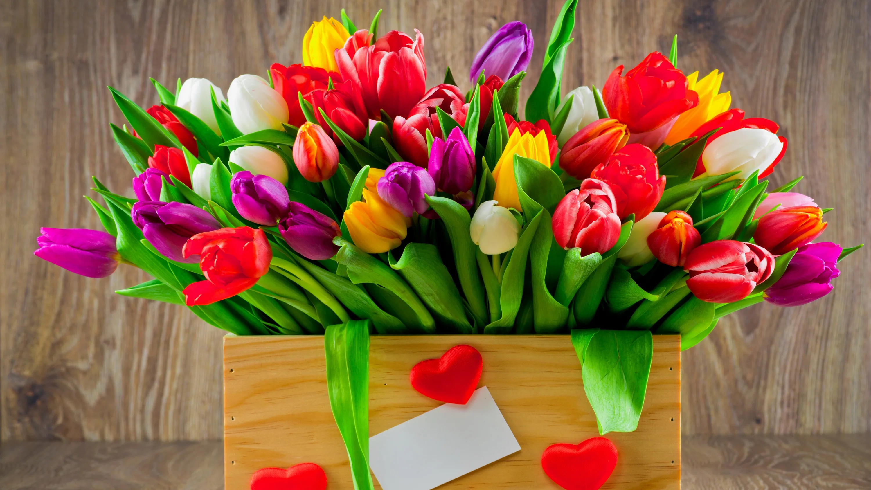 Фото Стихи к подарку тюльпаны #34