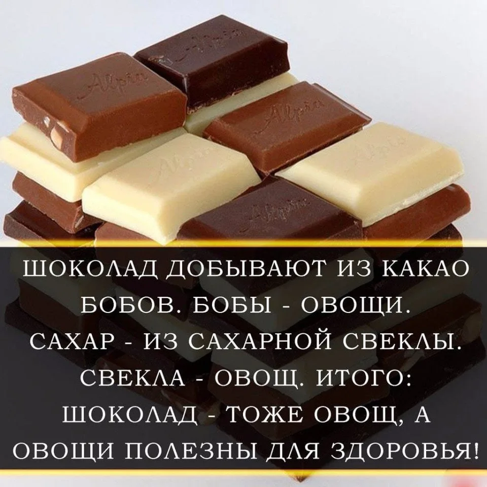 Слова со словом шоколад. Высказывания про шоколад. Цитаты про шоколад. Изречение про шоколад. Шоколадные цитаты.