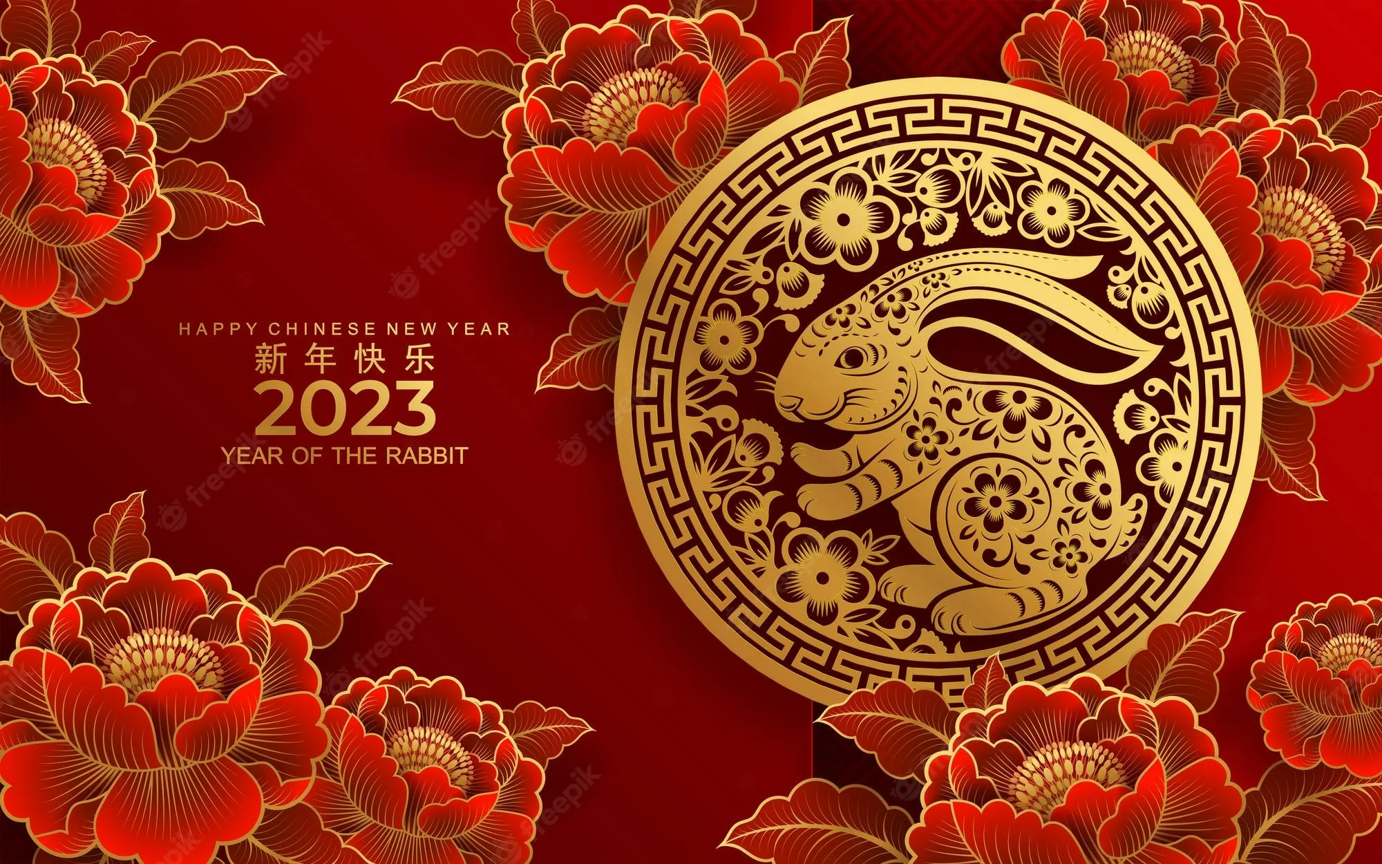 Фото Chinese New Year 2025 #6