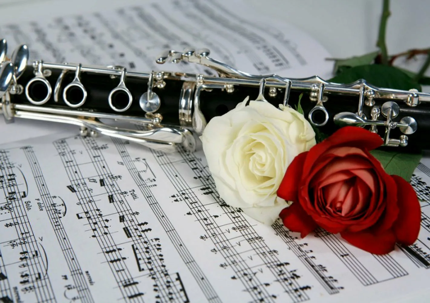Саксофон поздравления. Саксофон флейта кларнет. Цветы для музыканта. Открытка музыканту. Флейта и цветы.