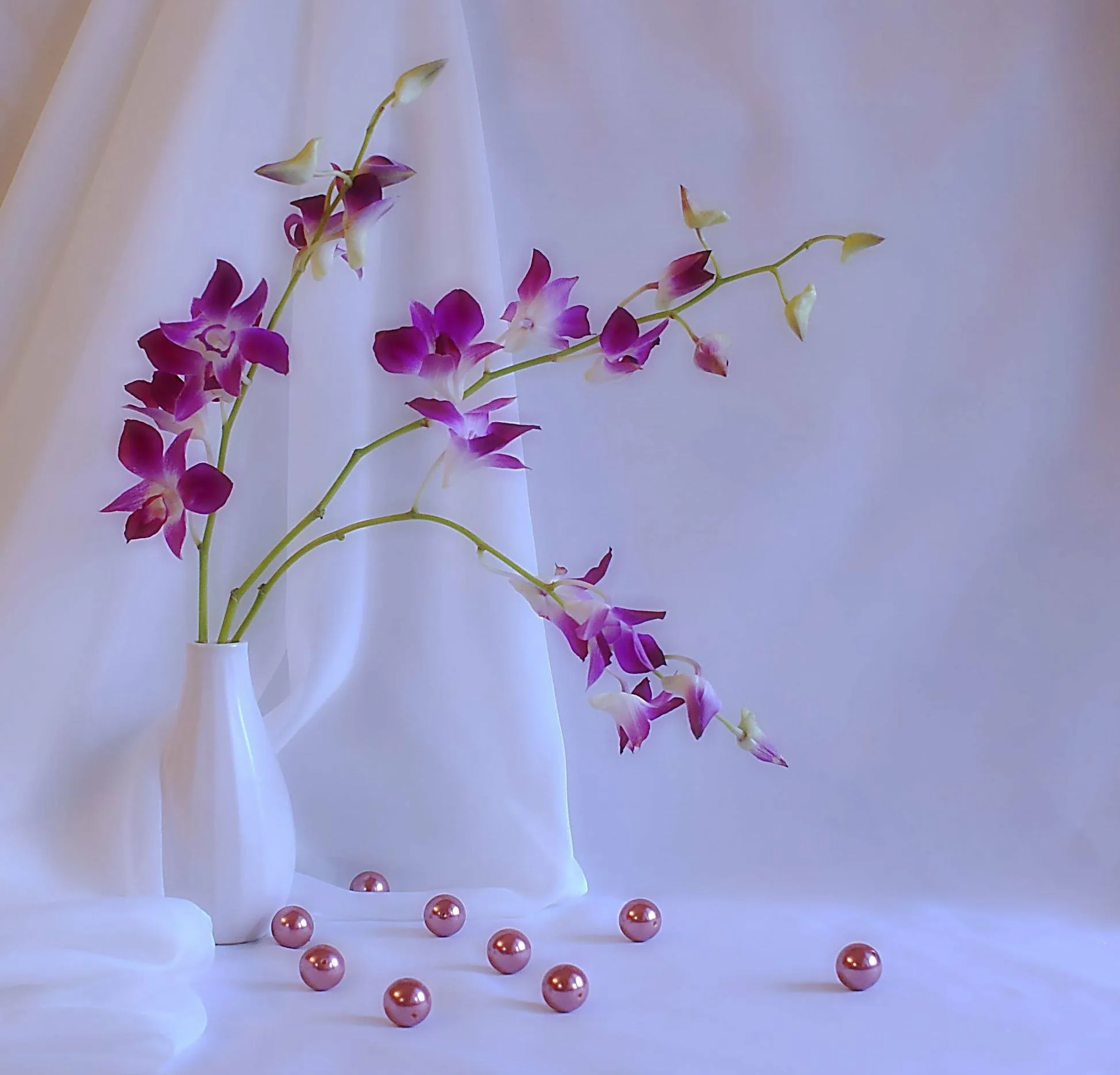 Фото Стихи к подарку орхидея #77