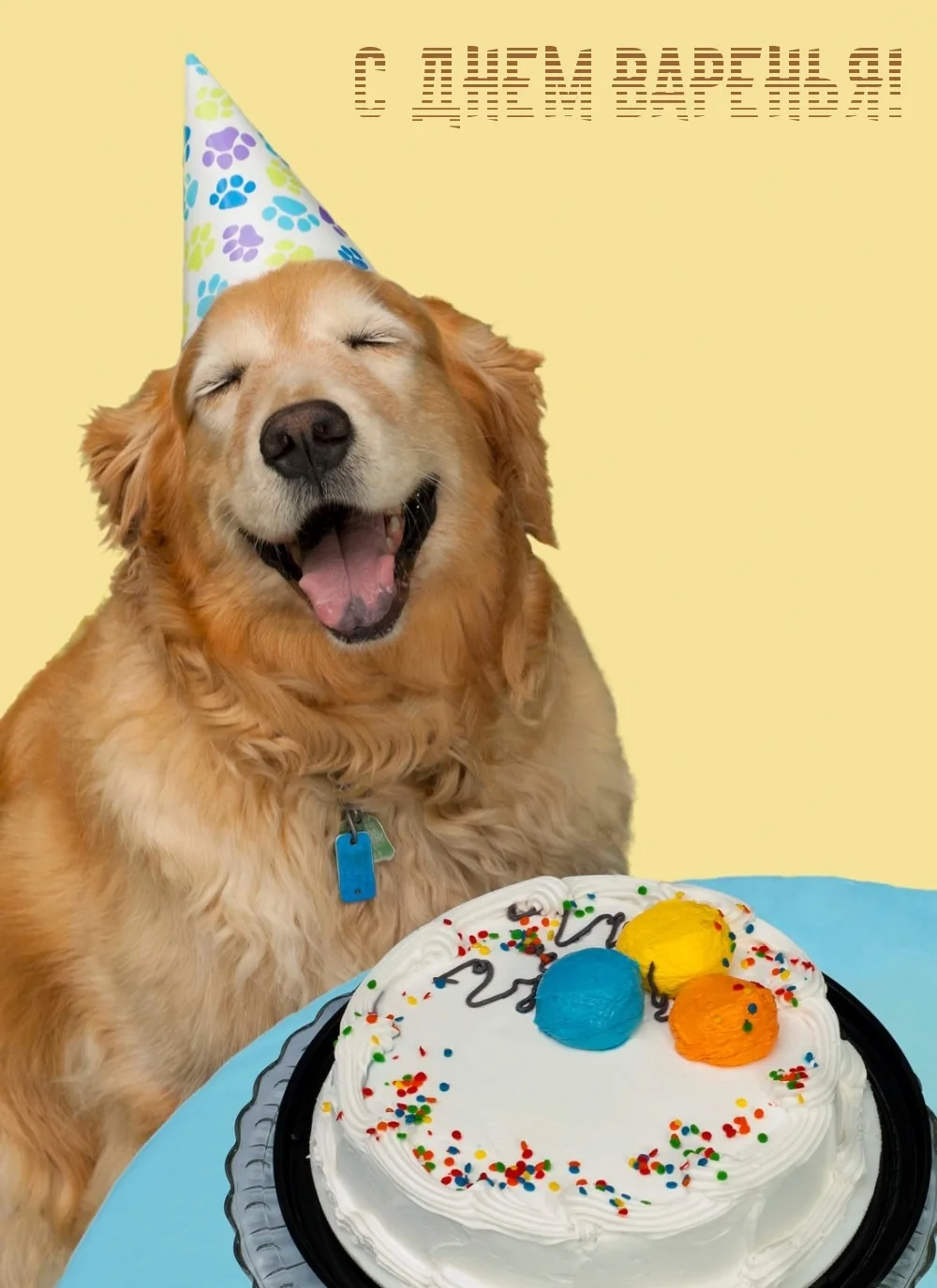Фото Поздравления с днем рождения собаке #44