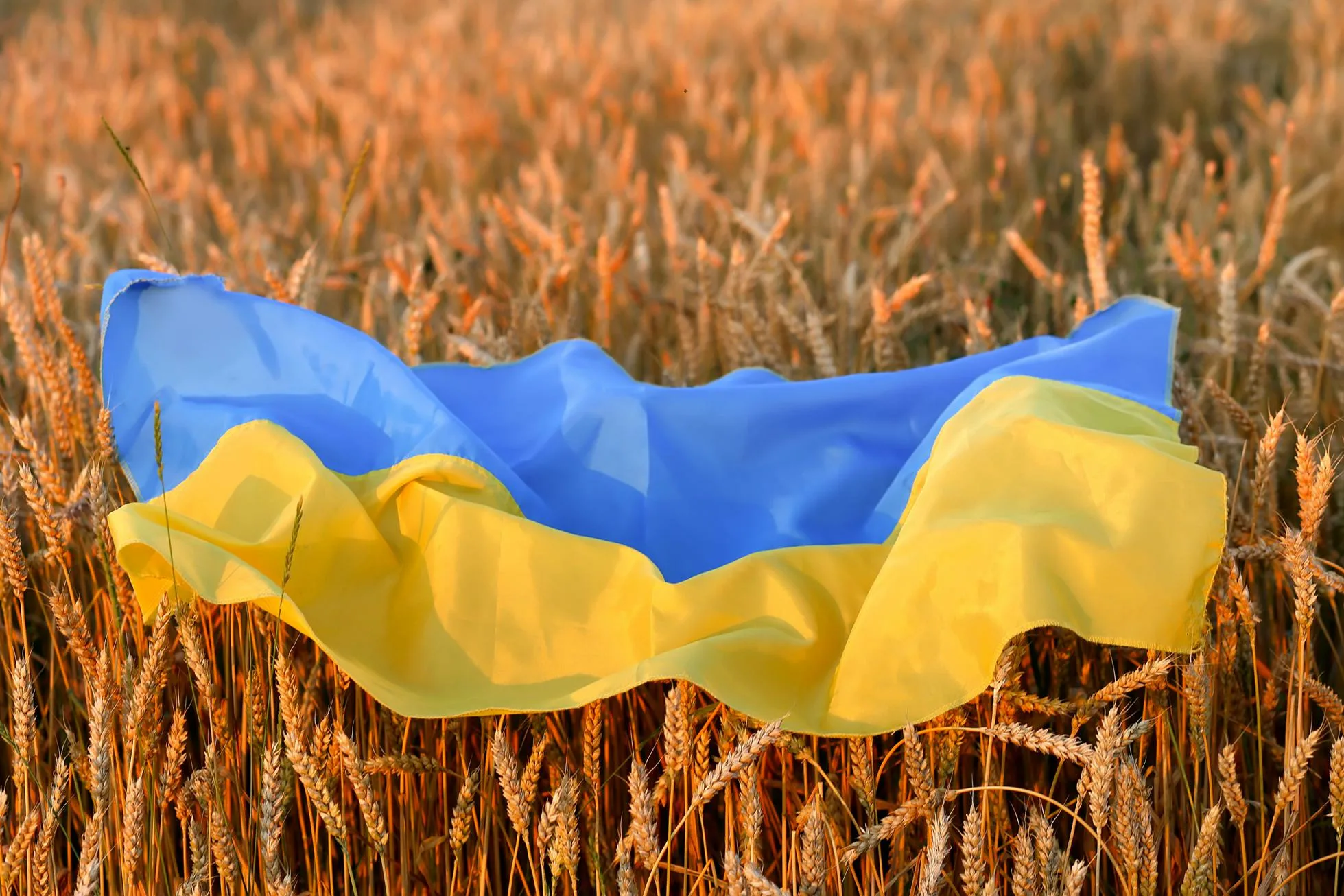 Фото День флага Украины #28