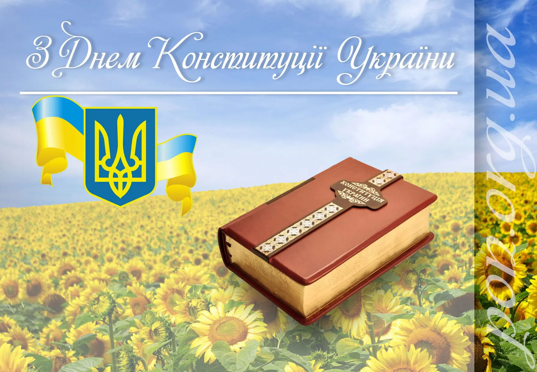 Фото День Конституции Украины #7