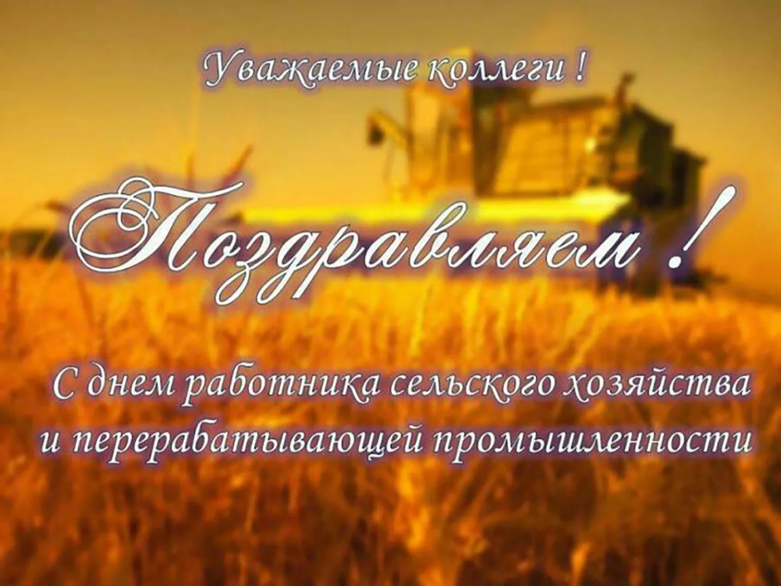 Фото Поздравления с днем работников сельского хозяйства Украины #30