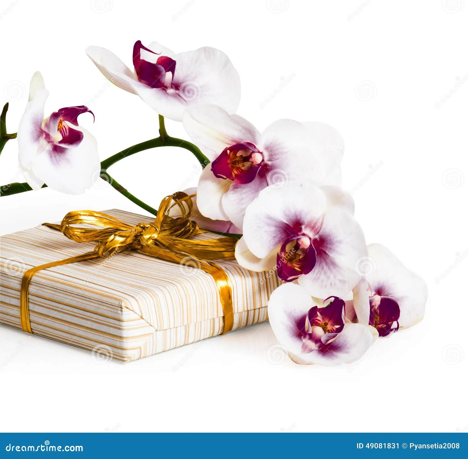 Фото Стихи к подарку орхидея #47