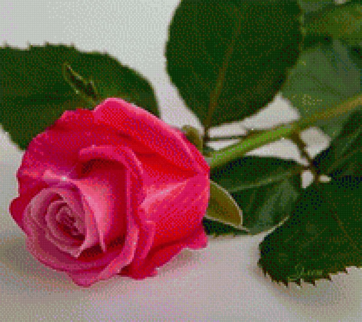 Фото Стихи к подарку розы #49