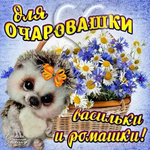 Скачивание изображения #31386