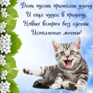Скачивание изображения #31428