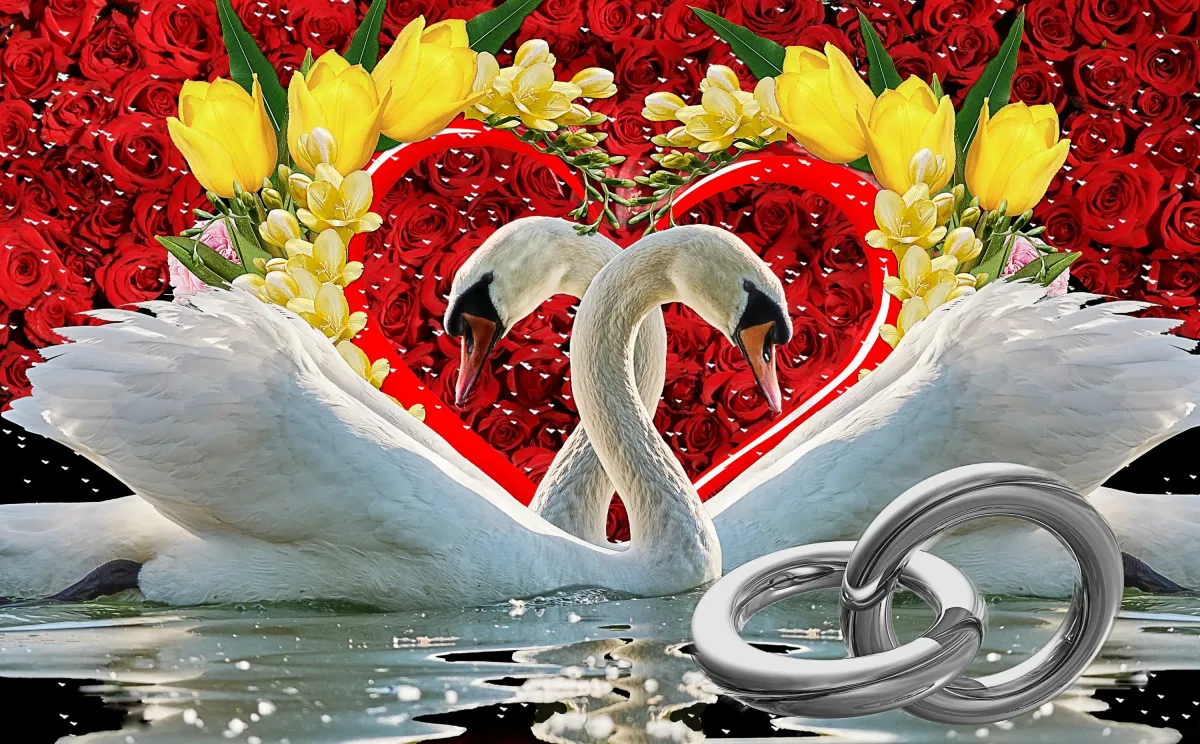 Картинка день годовщиной. Кольцо лебедь. Свадебные кольца и лебеди. Открытка с юбилеем свадьбы!. С днем свадьбы лебеди.