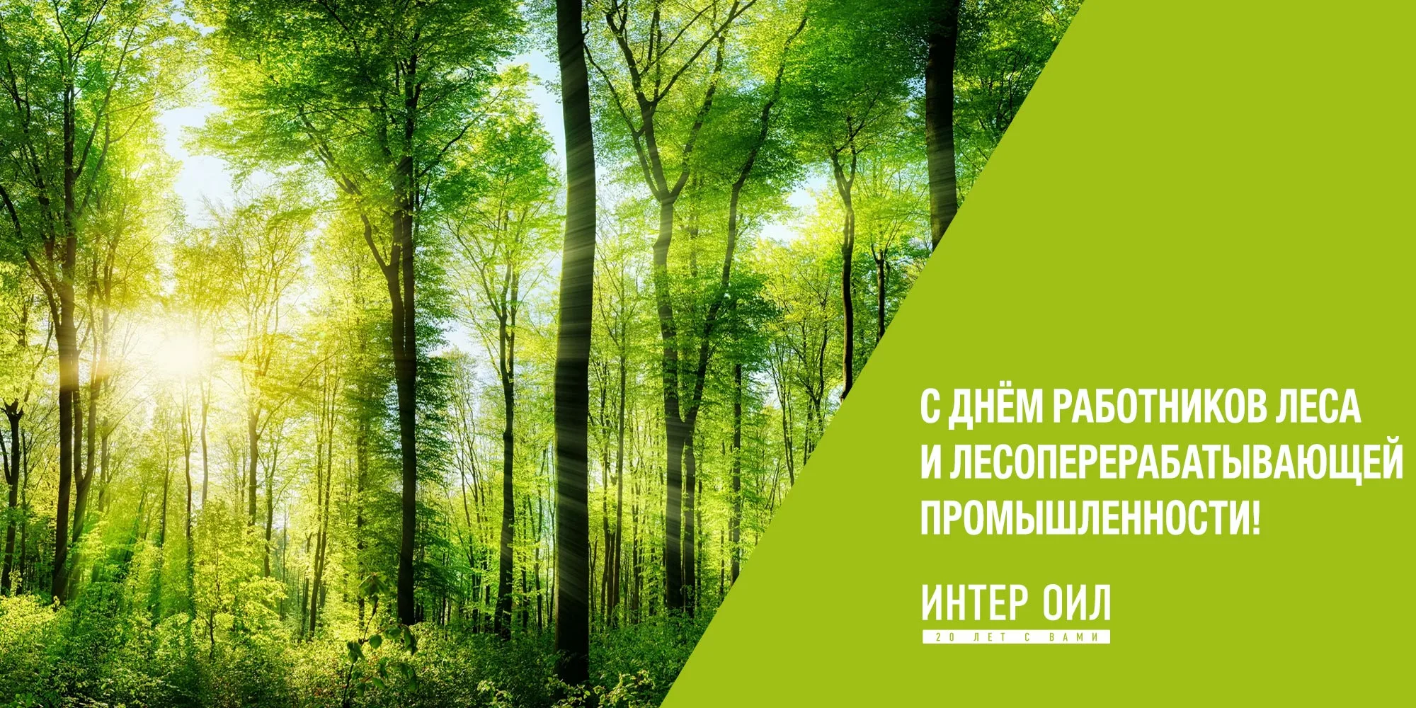 Фото Международный день леса 2025 #16