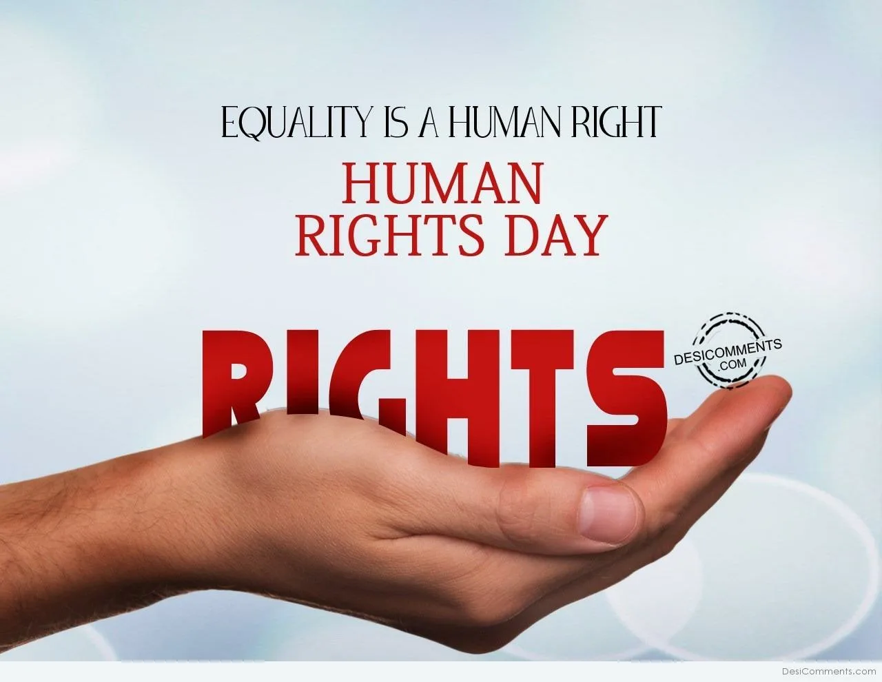 Фото День прав человека 2024 #61
