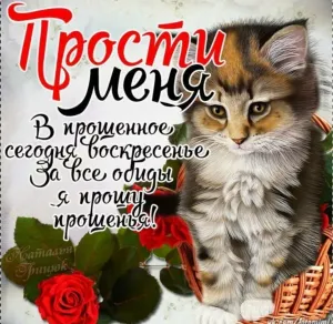 Скачивание изображения #229674