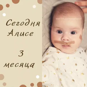 Скачивание изображения #216310