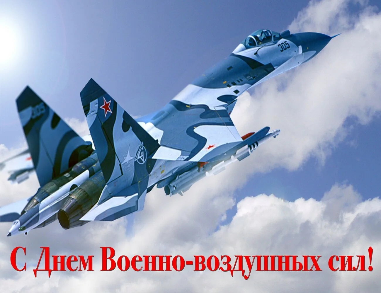 Фото День ВВС 2024. День авиации России #51