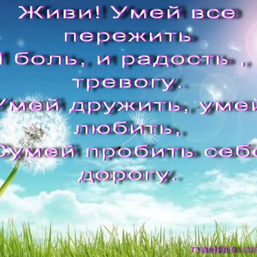 Открытки с днем рождения дорогой сынок