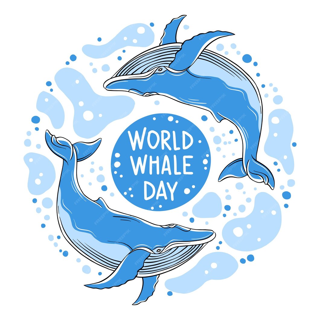 Фото Всемирный день китов и дельфинов 2024 #61